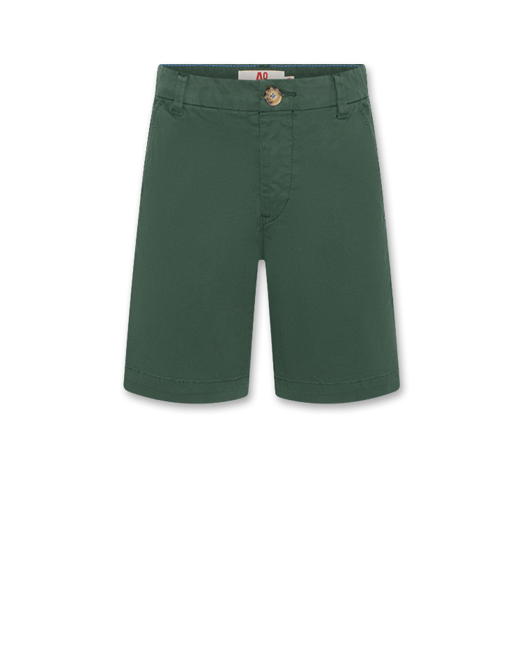 barry chino shorts school green