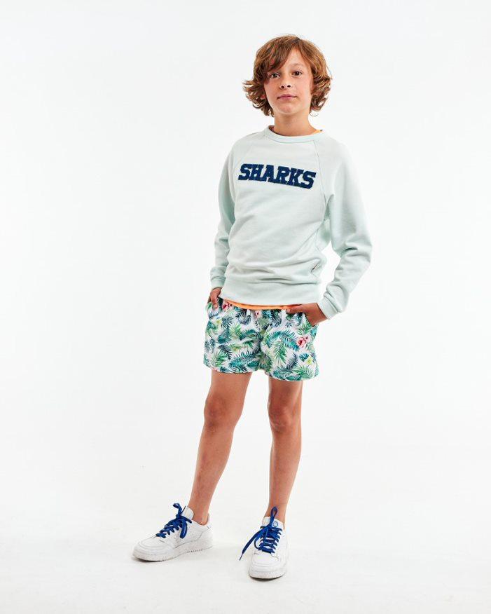 Spring collections !