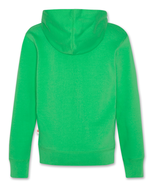 Hudson hoodie be kind garden green - 0