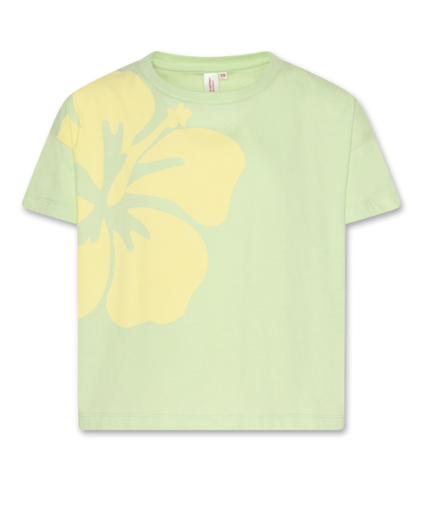 kenza t shirt hibiscus light green
