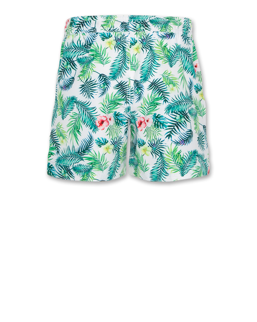 Tahiti swimshorts green